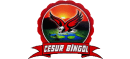 Cesur Bingöl Seyahat