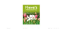 Flowers of Amsterdam