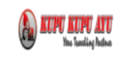Kupu Kupu Ayu