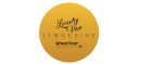 Luxury Van Limousine