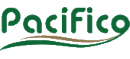 Pacífico
