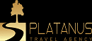 Platanus