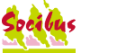 Socibus