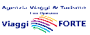 Viaggi Forte