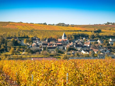 Bourgogne-Franche-Comté