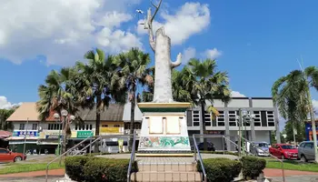 Bus Betong nach Miri