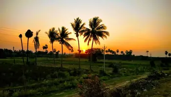 Bus to Bhimavaram