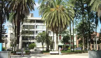 Micro a Concepción, TC