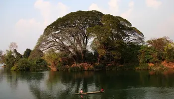 Don Det a Siem Reap autobúses