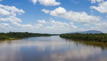 Bas Manaus ke Humaitá, AM