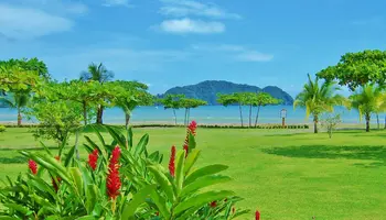 Bus from Mal País to Tamarindo