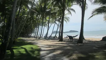 Bus nach Palm Cove