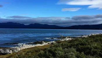 Micro Río Gallegos a Punta Arenas