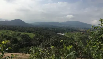 Bus per San Agustín Jalisco