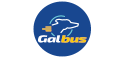 Galbus