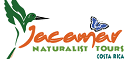 Jacamar Naturalist Tour