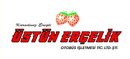 Üstün Erçelik