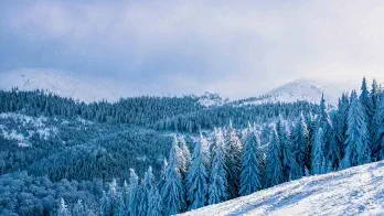Tutti gli autobus a lunga percorrenza da, per ed in Romania