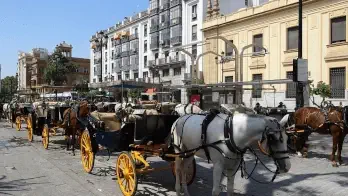 Bus and coach trips throughout Spain